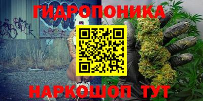 PSILOCYBIN Бугуруслан