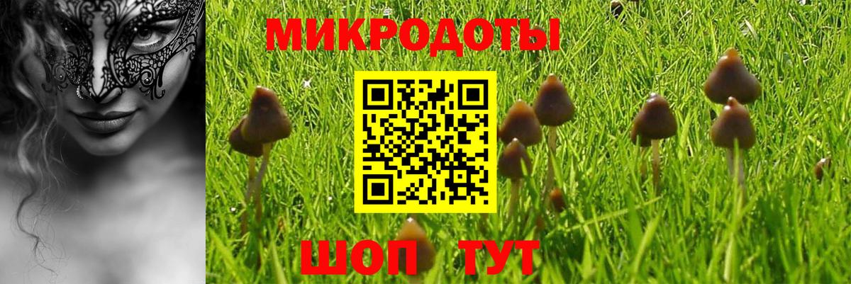 Галлюциногенные грибы GOLDEN TEACHER Тимашёвск