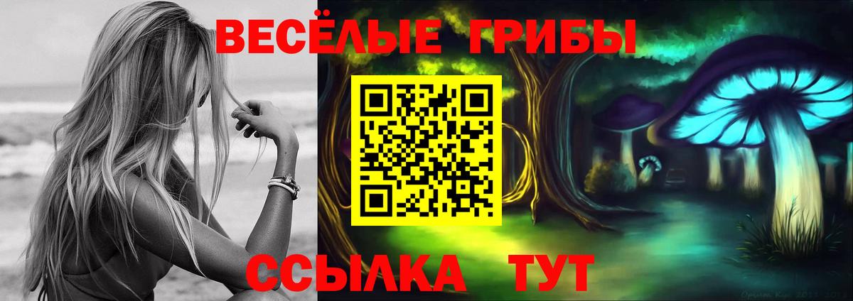 Галлюциногенные грибы ЛСД  Псилоцибиновые грибы GOLDEN TEACHER  закладка  Вход с VPN  Тимашёвск 